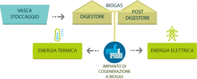 schema impianto biogas